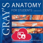 Logo of Gray's Anatomy Flash Cards android Application 