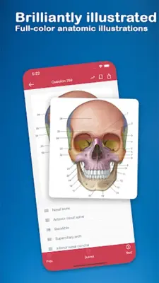 Gray's Anatomy Flash Cards android App screenshot 2